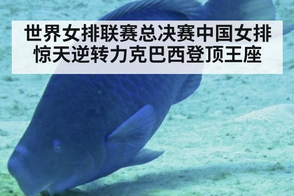 世界女排联赛总决赛中国女排惊天逆转力克巴西登顶王座